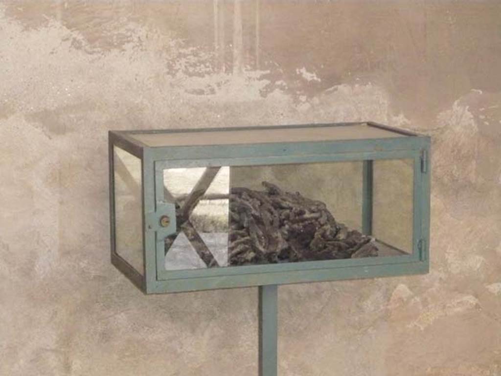 VI 15 Herculaneum, May 2009. Displayed item of carbonised rope, near south wall.
Photo courtesy of Buzz Ferebee.